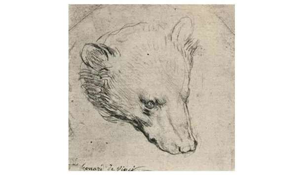 Da Vinci's 'Head of Bear'