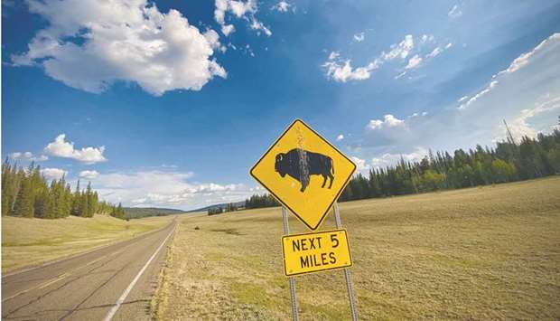 This file photo shows a sign warning of an American bison, also called buffalo, crossing near the North Rim of the Grand Canyon National Park.