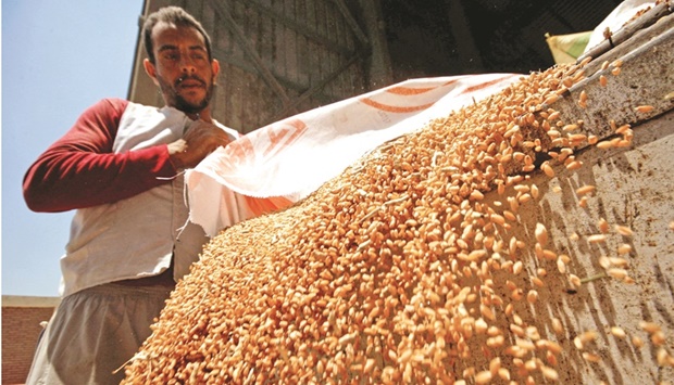 A worker collects wheat at the Benha grain silos, in Al Qalyubia Governorate, Egypt, on May 15. The Ukraine war delivered a new shock to Egyptu2019s tourism sector u2014 an important earner of foreign currency u2014 as well as driving up the price of wheat and other key commodities required for the governmentu2019s vast food subsidy programme.