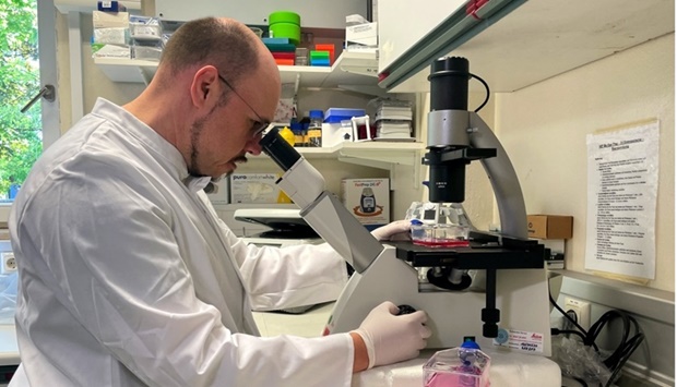 Head of the Institute of Microbiology of the German Armed Forces Roman Woelfel works in his laboratory in Munich on May 20, after Germany has detected its first case of monkeypox. REUTERS