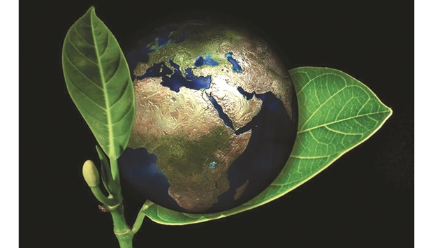 globe earth environment leafs plant and globe climate green environment