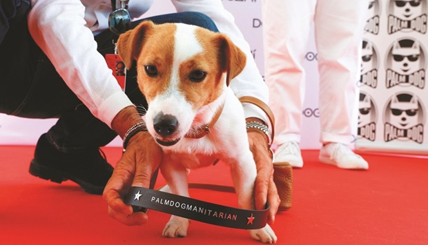 Opium receiving the Humanitarian Palm Dog award, named the u2018Dogmatarianu2019 award, on behalf of the Jack Russell mine sniffer dog Patron honoured for its service during the Ukraine-Russia conflict.
