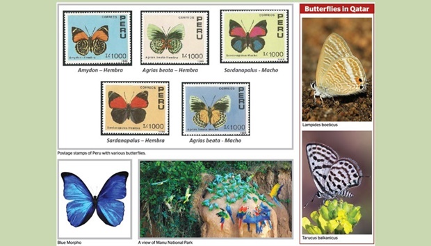 Postage stamps of Peru with various butterflies. Butterflies in Qatar