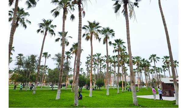 The Rawdat Al Khail Park offers green spaces and scenic views for visitors to enjoy. PICTURES: Joey Aguilar