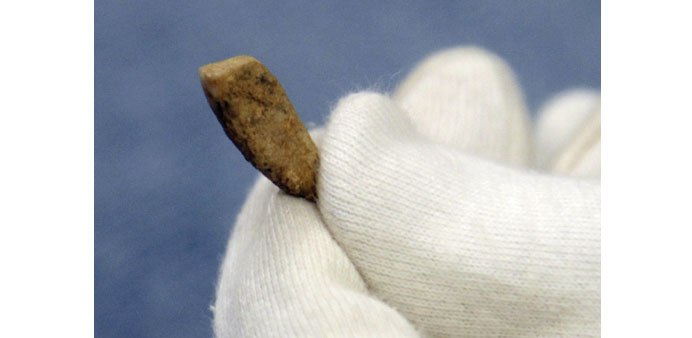 A researcher holds the tooth.