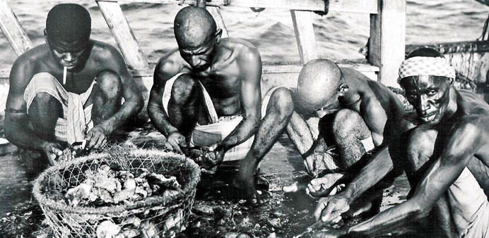 * Opening pearl oysters on board a dhow.