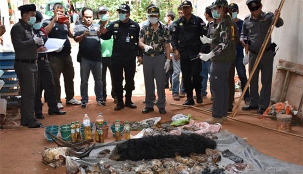 Dead tiger cubs are displayed by Thai officials after they were found during a raid on the controversial Tiger Temple in Kanchanaburi province, west of Bangkok, on Wednesday.