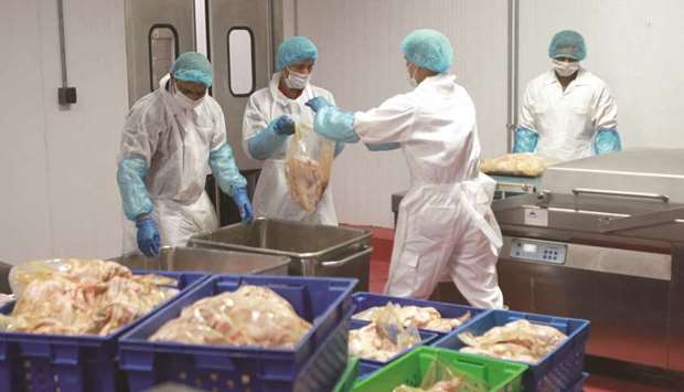 Workers at meat processing plant in Doha.