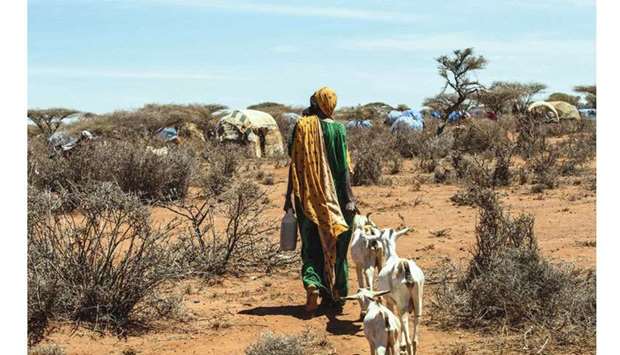 Livestock raising communities are particularly vulnerable to climate change.