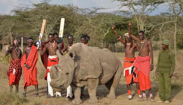 Maasai warriors pose with Sudan, the only male of the last three northern white rhino sub-species on the planet, on June 18, 2017 following a charity cricket match played in the wilds of Laikipia county's Ol-Pejeta Conservancy.