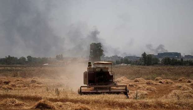 Smoke billows from the positions of the Islamic State militants as a harvester gathers the wheat crop from a field in western Mosul, Iraq.