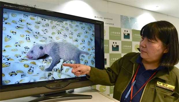 Ueno Zoological Gardens official Mikako Kaneko shows images of the female cub of giant panda Shin Shin during a press conference in Tokyo on Friday.