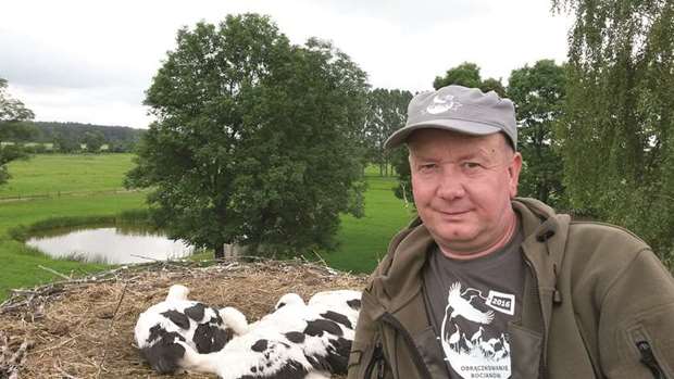 Ornithologist Irek Kaluga has been working to protect storks for 18 years.