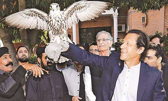 File picture of Pakistan Tehrik-e-Insaf  Party chief Imran Khan releasing a seized falcon.