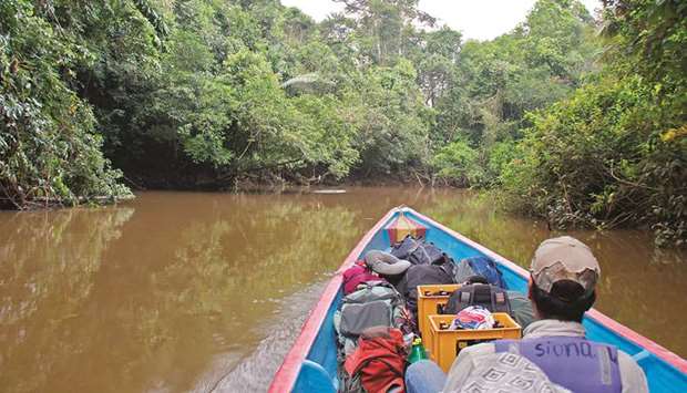 EXHILARATING: Going anywhere in the Cuyabeno Reserve in Ecuadoru2019s Amazon requires long but exhilarating boat rides.