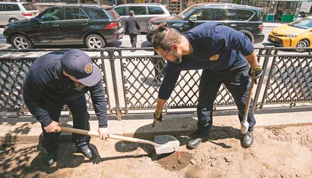 Health Department workers place dry ice into rat burrows in Sara D Roosevelt Park, in China Town, New York.