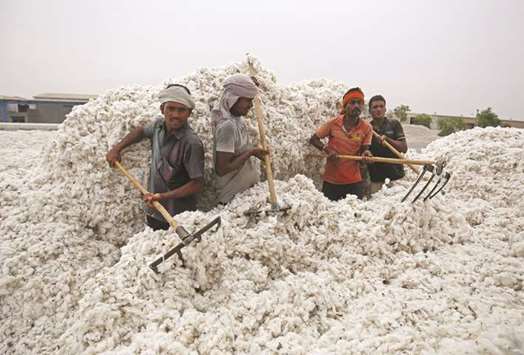 Employees unload cotton from a truck at a processing unit in Kadi town, in the western Indian state of Gujarat. Indiau2019s cotton shipments to China could grow five-fold to 5mn bales (850,000 tonnes) in the next crop year as exporters rack up orders amid a trade war that is forcing the worldu2019s top consumer to look for other sources of supply, sources said yesterday.