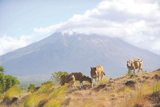 Mount Agung volcano (background) erupted earlier in the day at the Kubu sub-district in Karangasem Regency on Indonesiau2019s resort island of Bali yesterday.