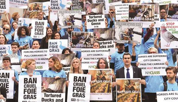 Animal rights activists hold a rally in support of a bill to ban the sale of foie gras at New York City Hall yesterday.