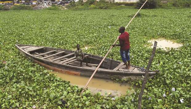 A boatman tries to navigate through water hyacinths, an invasive aquatic plant, floating on Ogun River in southwest Nigeria.