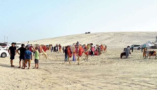 Camel and horse rides are among the attractions in the Sealine area.rnrn