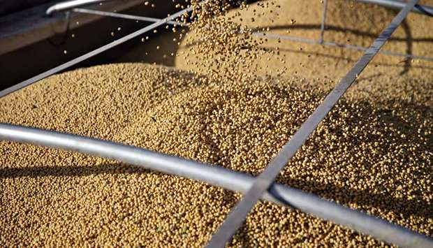 Soybeans are unloaded into a truck in Tiskilwa, Illinois. Chinau2019s state-run and private soybean buyers have purchased at least 10 cargoes from the US this month, according to people familiar with the matter.