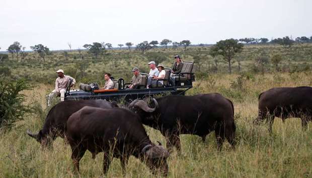 Tourists watch a herd of buffaloes at a game reserve adjacent to the Kruger National Park in Mpumalanga province, South Africa, in this 2019 file photo.