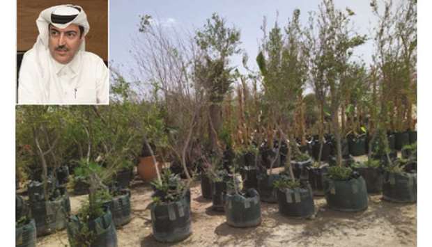 Director of the Public Parks Department, Mohamed Ali al-Khouri (inset), explained that the Ministry of Municipality and Environment is making great efforts to increase green areas in Qatar.