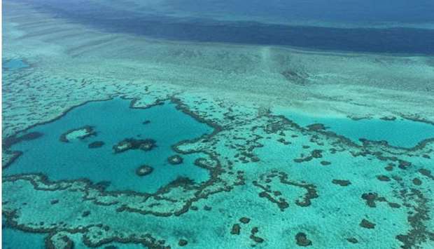 This photo taken on November 20, 2014 shows an aerial view of the Great Barrier Reef off the coast of the Whitsunday Islands, along the central coast of Queensland.  SARAH LAI / AFP