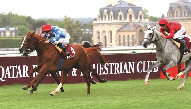 Olivier Peslier rides Samlla to victory in the Qatar Coupe De France Des Chevaux Arabes (Group 2) in Chantilly, France, on Friday. (Scoopdyga)