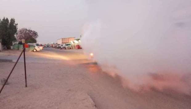The campaign covered the industrial zone there besides residential areas and key facilities and buildings to curb the spread of insects and rodents and maintain public health, the Ministry of Municipality and Environment said.