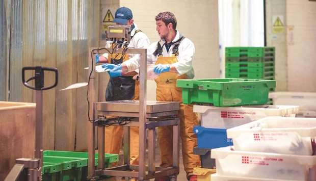 A worker at Midland Fish Co prepares fish for processing in Fleetwood, UK. Under the deal with Norway, import tariffs on Norwegian fish and seafood, would be reduced, with no tariffs due on white fish, such as cod u2014 a benefit for the fish processing industry in the north of England.