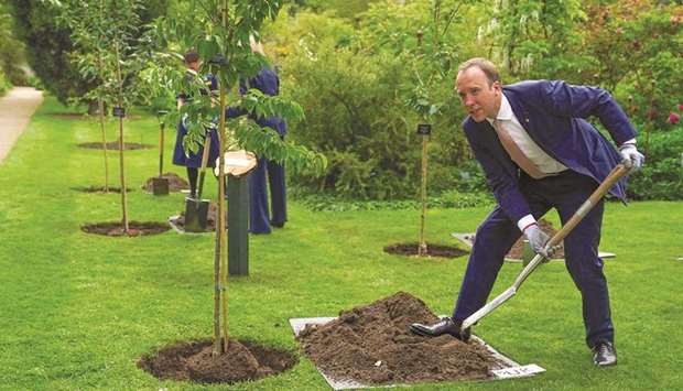 Britainu2019s Health Secretary Matt Hancock plants a tree during a memorial tree planting ceremony at Oxford Botanic Gardens following the G7 Health Ministersu2019 Meeting at Mansfield College, Oxford University, Oxford, yesterday ahead of the upcoming G7 leadersu2019 summit.