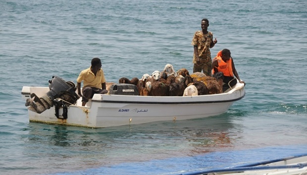 Thousands of sheep drown as Sudan ship sinks - Gulf Times
