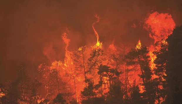 This picture taken near the village of Gouves, on Euboea island, second largest Greek island, last August shows a raging fire. (AFP)