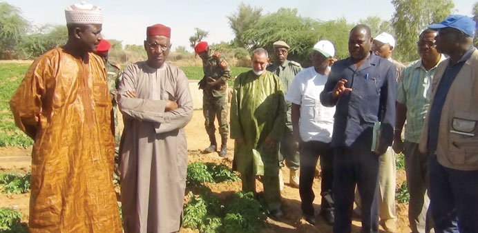Qatar Charity and FAO officials in Niger inspect a field.