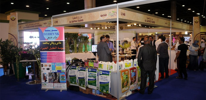 Al Safwaa Farm stand at the Qatar International Agricultural Exhibition. PICTURE: Shemeer Rasheed