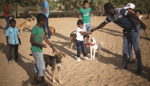 Palestinian man Saeed el-Aer trains stray dogs with other boys on the property of the organisation he helped set up, the Sulala Society for Training and Caring for Animals, in Zahra, south of Gaza City.