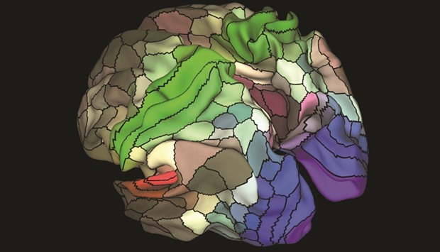 Neuroscientists have devised the most comprehensive map ever made of the cerebral cortex, the part of the brain responsible for higher cognitive functions like abstract thought, language and memory.