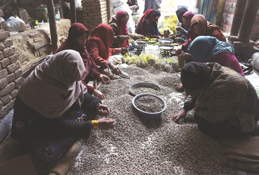 In this photograph taken on December 31, 2014, Afghan labourers prepare pistachio seeds at a dried fruit factory in Kabul.