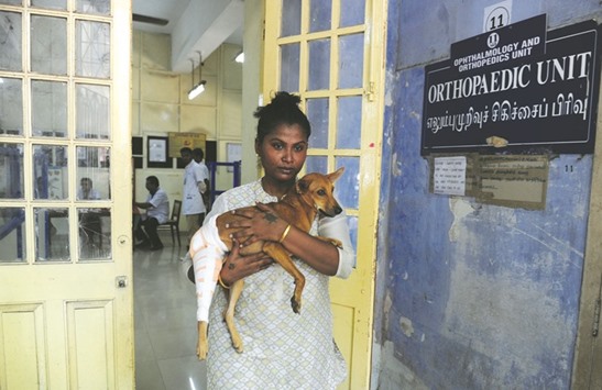 An animal welfare activist carries an injured dog after being treated at Tamil Nadu Veterinary University Hospital in Chennai yesterday. The dog was thrown off the roof of a building.
