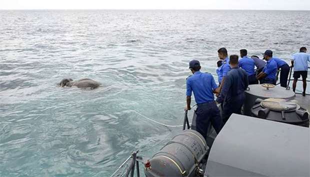 Sri Lankan Navy personnel try to rescue an elephant that was spotted struggling to stay afloat in deep sea waters, some eight kilometres off the island's northeast coast.