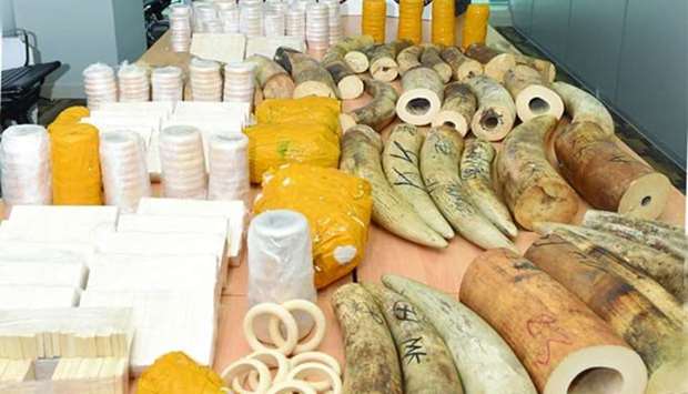 The seized ivory items.