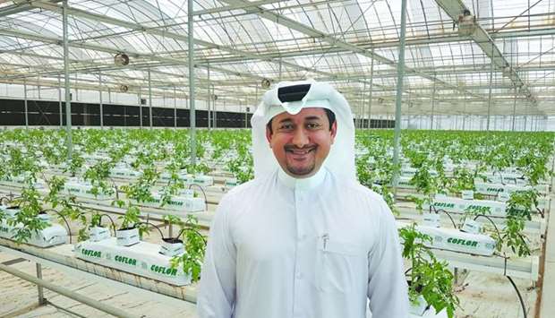 Agrico managing director Nasser Ahmed al-Khalaf at his organic hydroponics farm in Al Khor. PICTURE: Joey Aguilar