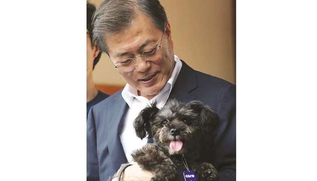 South Korean President Moon Jae-in welcomes a rescue dog to his official Blue House residence in Seoul yesterday.