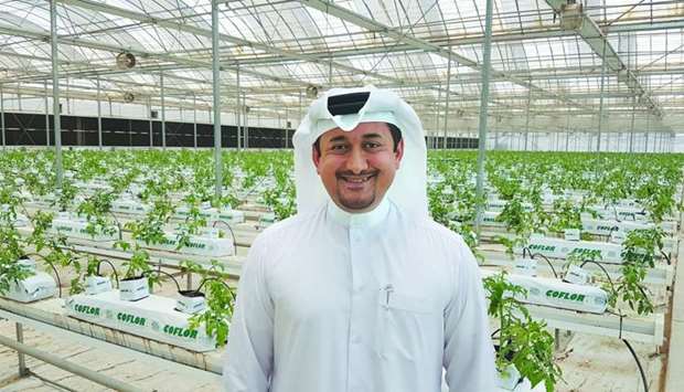 Agrico managing director Nasser Ahmed al-Khalaf at the organic hydroponics farm in Al Khor