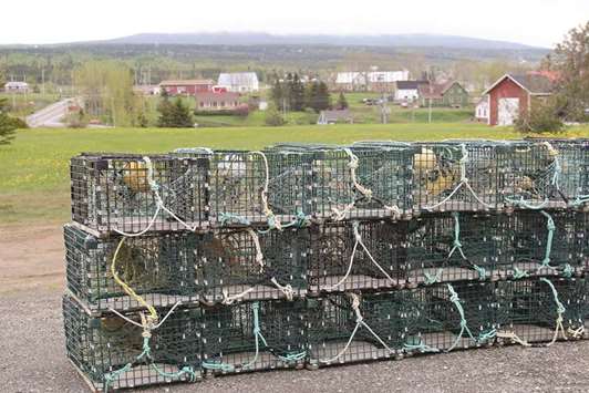 The cod fishery u2013 which sustained Gaspe for generations u2013 may be all but gone, but lobstermen and crabbers working out of villages like Lu2019Anse-a-Beaufils continue to do just fine.
