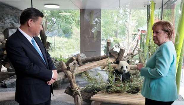 China's President Xi Jinping and German Chancellor Angela Merkel watch one of the two new pandas during the welcoming ceremony for two panda bears at the Zoologischer Garten zoo in Berlin on Wednesday.