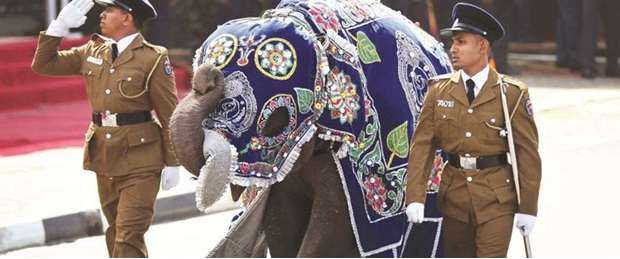 A ceremonially dressed elephant calf during a Victory Day parade in Matara, about 165km south of Colombo.