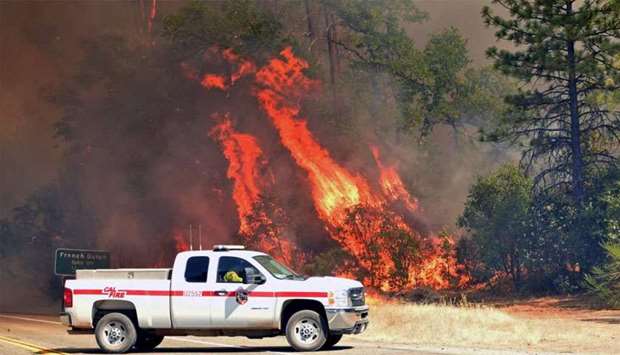 Flames engulf trees near a road during the Carr fire in Redding, California